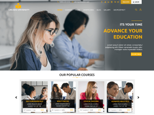 Education Theme
